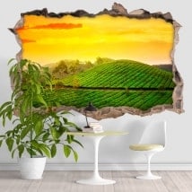Vinilos decorativos 3d India atardecer en el campo