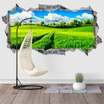Vinilos decorativos naturaleza 3D