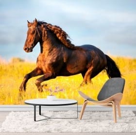 Fotomurales caballo en el campo