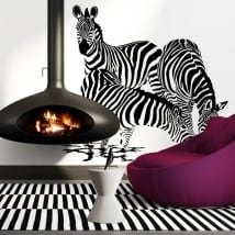 Vinilos decorativos Zebras