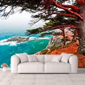 Fotomurales &aacute;rbol cedro Rocky Island