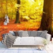 Fotomural árboles en el bosque otoño