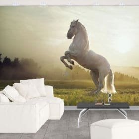 Fotomurales vinilo caballo blanco