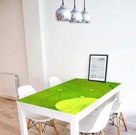 Vinilos decorativos mesas nen&uacute;fares