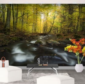 Fotomurales de vinilo río naturaleza en otoño