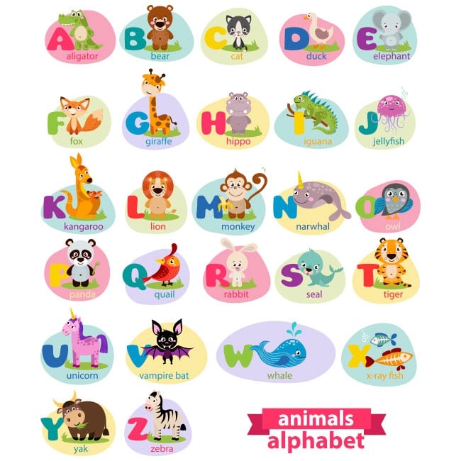 🥇 Vinilos y pegatinas infantiles animales abecedario en inglés 🥇