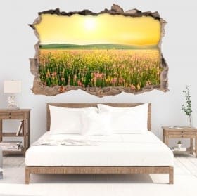 Vinilos agujero pared atardecer flores en el campo 3d