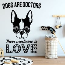 Vinilos y pegatinas frases the good doctor