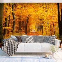 Fotomurales de vinilos árboles en otoño