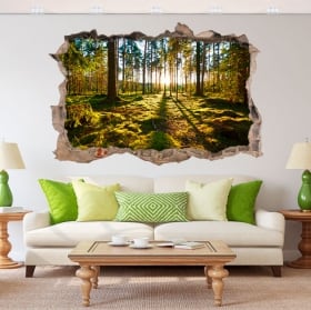 Vinilos decorativos 3d atardecer en el bosque