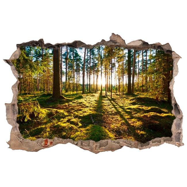 🥇 Vinilos decorativos 3d árboles en el bosque 🥇