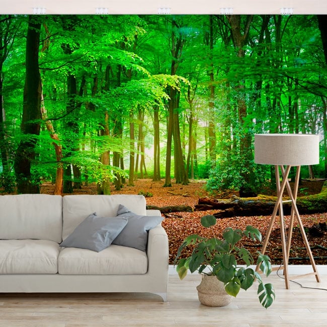 🥇 Vinilos de pared 3D camino en la naturaleza 🥇