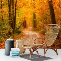 Murales de vinilos árboles en otoño