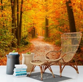 Murales de vinilos árboles en otoño
