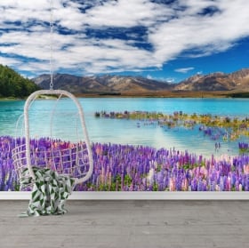 Murales de vinilos lago tékapo