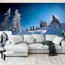 Fotomurales de vinilos pinos en la nieve