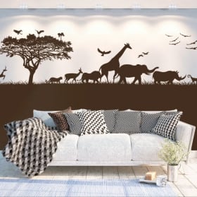 Vinilos decorativos áfrica