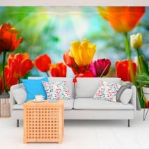 Fotomurales de vinilos flores tulipanes