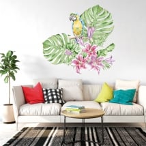 Vinilos de pared loros o guacamayos en acuarela