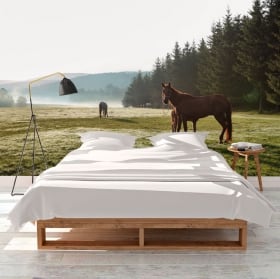 Fotomurales caballos en el campo