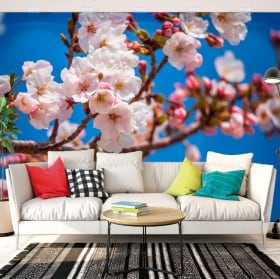 Fotomural flor de cerezo japonés