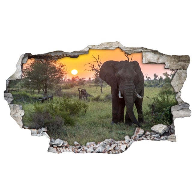 🥇 Vinilos decorativos para paredes elefante 3d 🥇