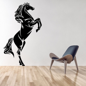 Vinilos decorativos y pegatinas caballo
