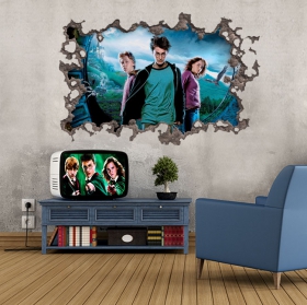 Vinilo decorativo pelicula harry potter 3d