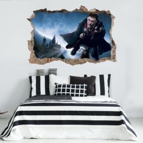 Vinilos adhesivos 3d harry potter
