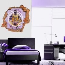 Vinilos y pegatinas 3d lebron james nba
