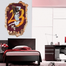 Vinilos 3d lebron james nba