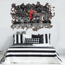 Vinilos decorativos 3d lebron james nba