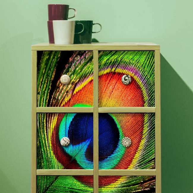 🥇 Vinilos para muebles o armarios pluma pavo real