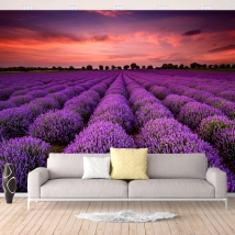 Papel pintado o fotomural paisaje campos de lavanda al atardecer
