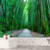 Papel pintado o fotomural paisaje camino bosque bambú zen