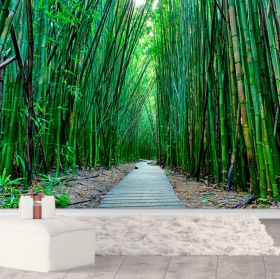 Papel pintado o fotomural paisaje camino bosque bambú zen