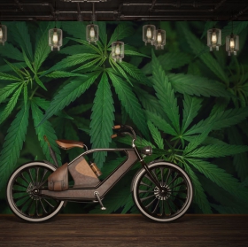 Fotomural o papel pintado fondo hojas maría verde juvenil