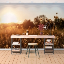 Papel pintado o fotomural paisaje flores campo al atardecer
