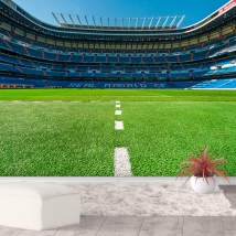Fotomural o papel pintado bernabeu cesped futbol