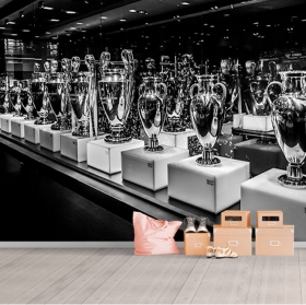 Fotomural o papel pintado bernabeu real madrid copas