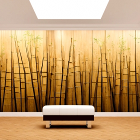 Papel pintado o fotomural de fondo de madera con texturas