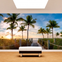 Fotomural o papel pintado paisaje acceso a playa caribeña con palmeras atardecer