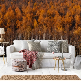 Fotomural o papel pintado paisaje horizontal árboles bosque otoño decoración