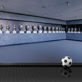 Fotomurales copas fútbol real madrid