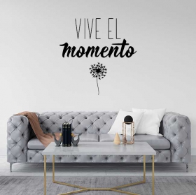 Vinilos decorativos frase vive el momento